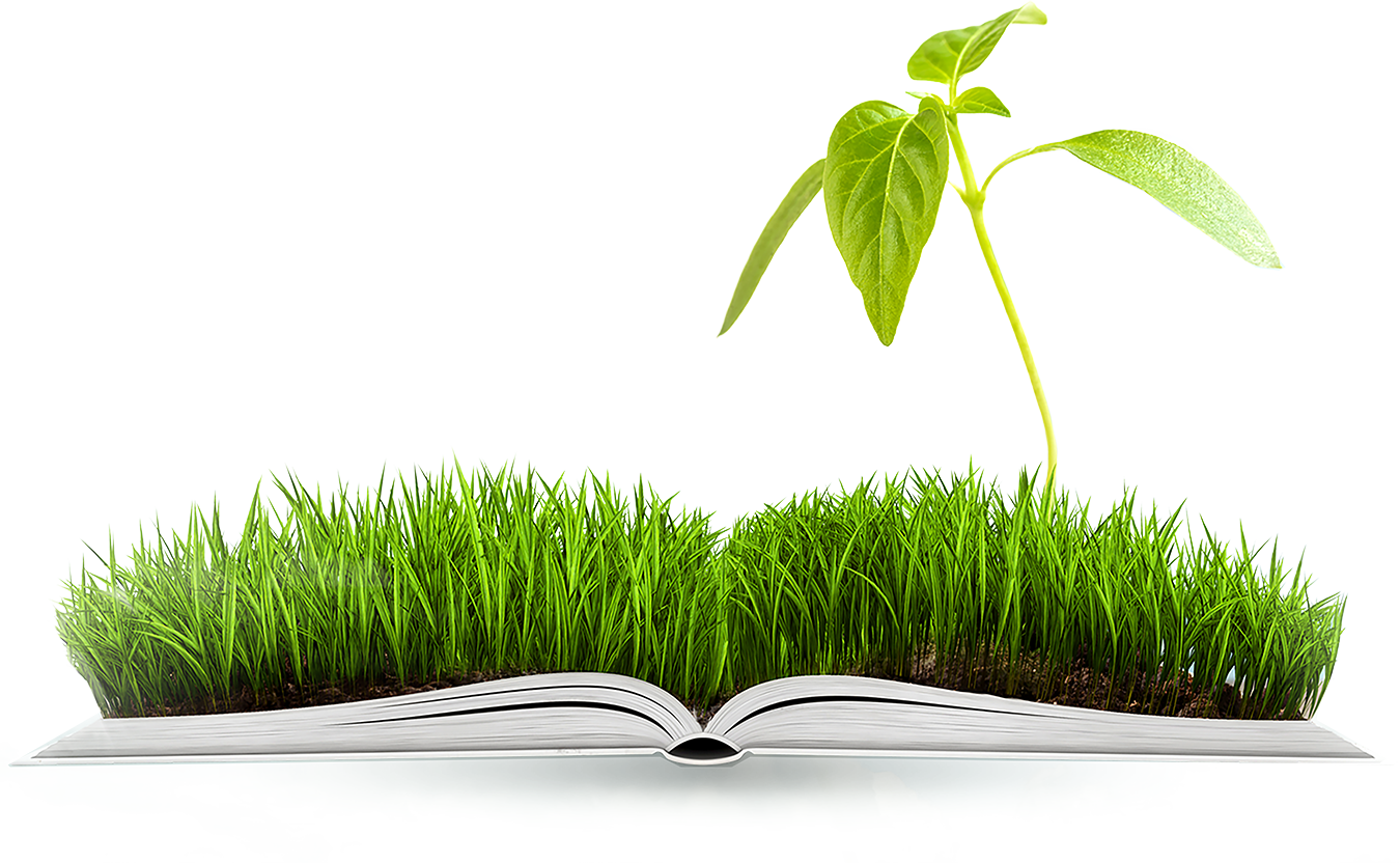 Book with grass and growing plant